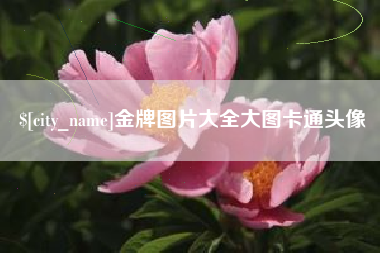 沈丘金牌图片大全大图卡通头像