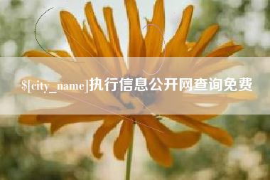 沈丘执行信息公开网查询免费
