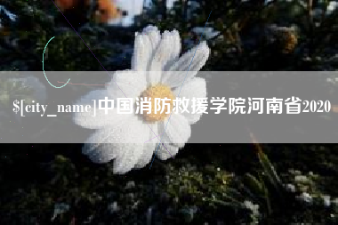 沈丘中国消防救援学院河南省2020